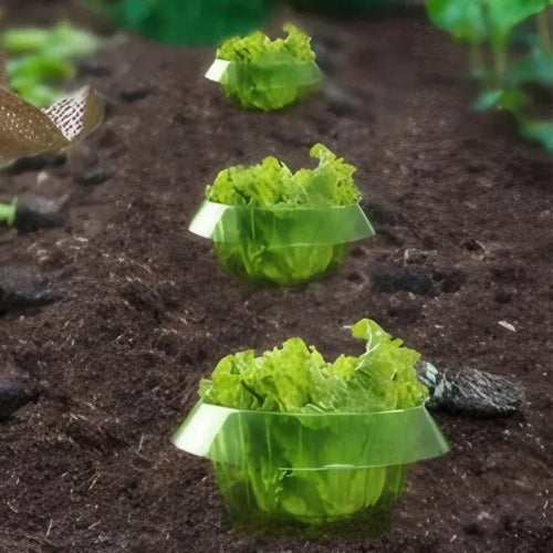 SnailShield™ – Housses Protecteurs Réutilisables