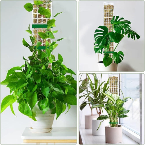 ClimbPro™ – Support de Plantes Grimpantes