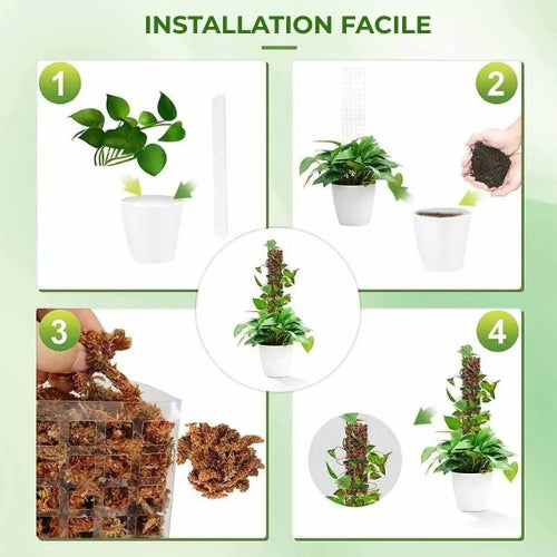ClimbPro™ – Support de Plantes Grimpantes